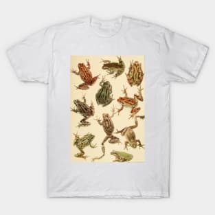 Vintage Frogs T-Shirt